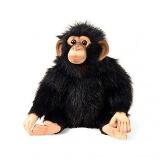 Discovery Channel Chimp Small Plush Coupons